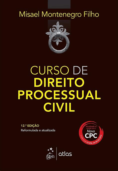 curso de direito processual