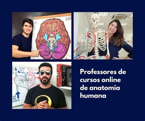curso online de anatomia humana