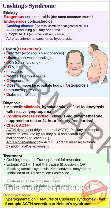 Cushing's Disease Zero To Finals