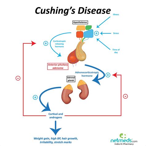 Uncovering the Hidden Risks: What Causes Cushing Syndrome?