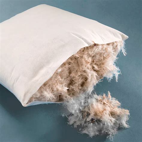 Cushion Filling Material Uk