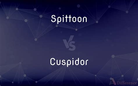 Cuspidor Vs Spittoon