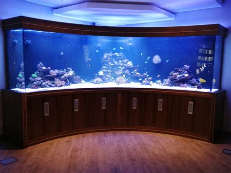 Large Custom-Built Fish Tanks