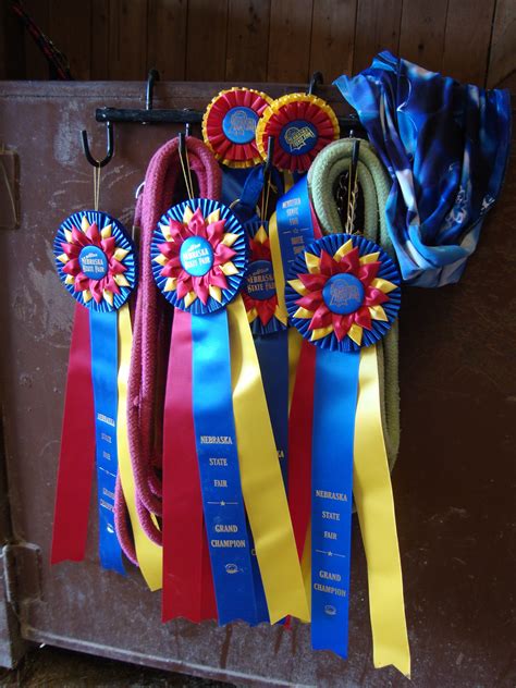 Custom Horse Ribbons