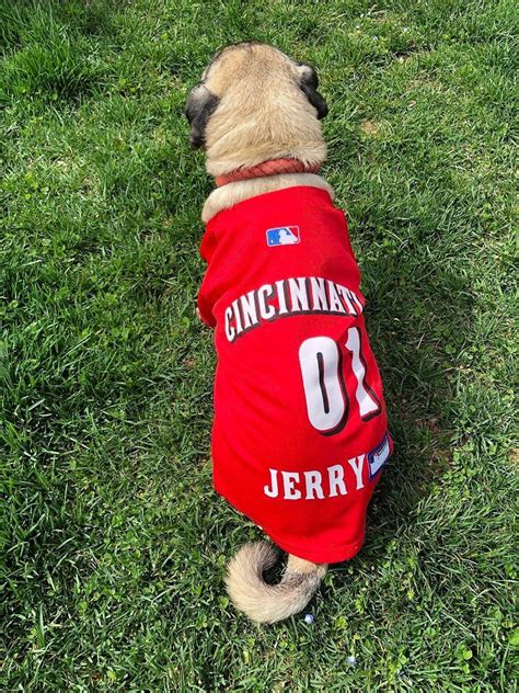 Customizable Dog Jerseys