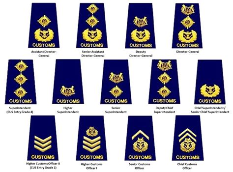 customs and border protection ranks