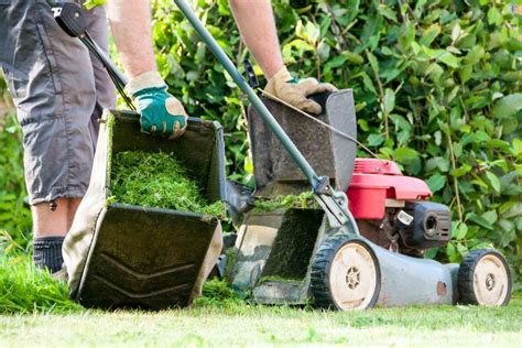 How Short to Cut Grass Before Winter? The Backyard Pros