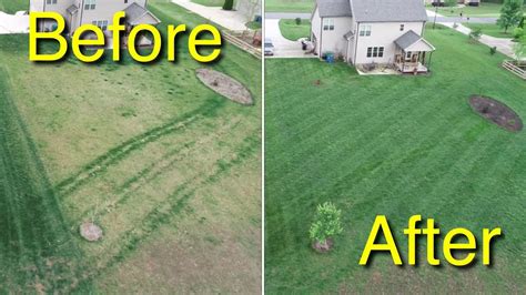 Mowing. Fertilization. Irrigation What you need to know about lawn