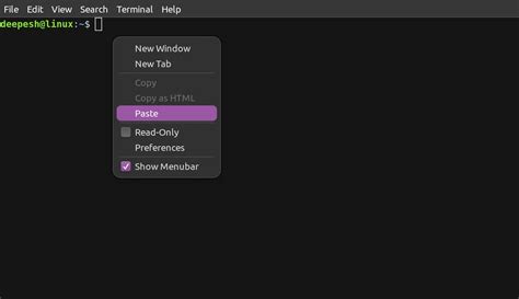 cut and paste command in linux terminal