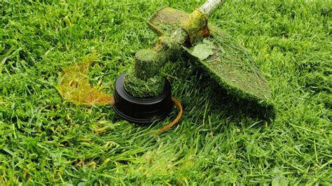 Cut Grass With String Trimmer