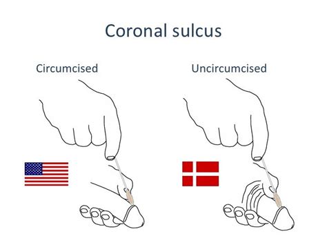 cut meaning in german