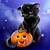 cute cat halloween wallpaper cartoon