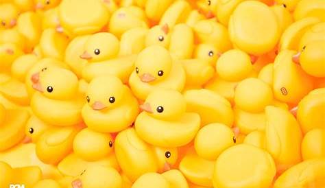 Cute Duck Wallpaper Iphone Yellow Baby Hd Phone Pxfuel