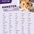 cute female pet hamster names