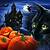 cute halloween wallpaper black cat