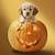 cute halloween wallpaper puppy