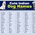 cute indian pet names for dogs