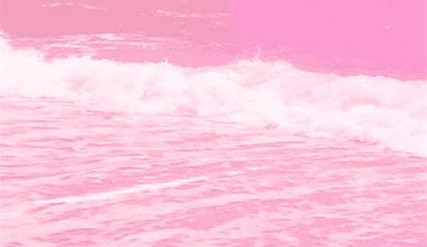 Bubblegum Pink GIFs - Find & Share on GIPHY