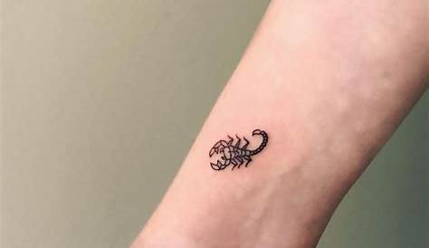 Cute Small Scorpion Tattoo 30 Fancy s For Hand
