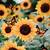 cute sunflower wallpaper