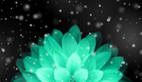 Cute Teal Wallpapers For Iphone