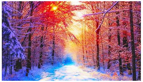 Cute Winter Wallpapers For Laptop