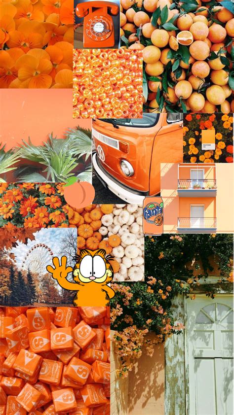 Cute Aesthetic Orange