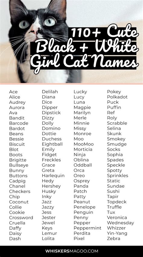 cute black and white cat names female