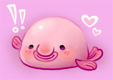 Cute Blobfish