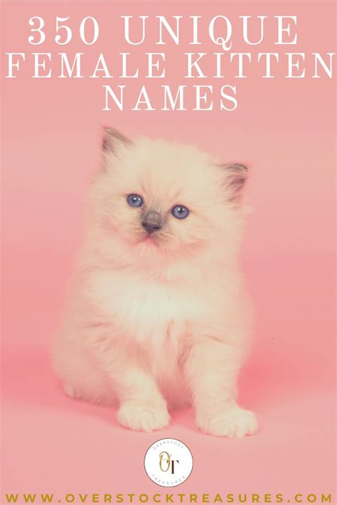 Cute Cat Names Female Unique