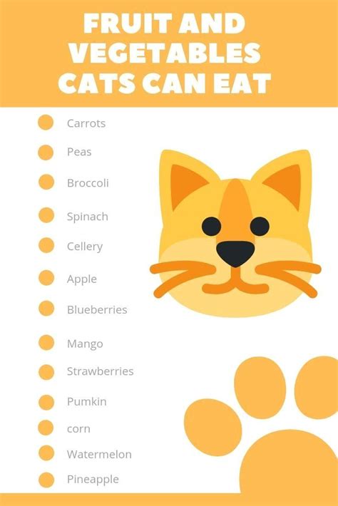 cute cat names food related