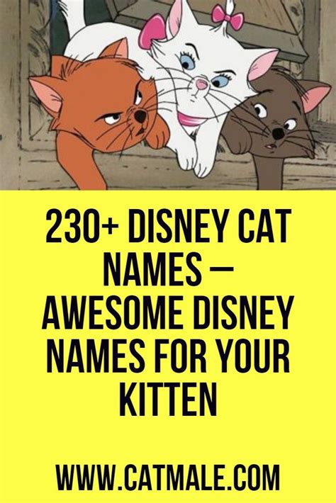 cute cat names from disney movies