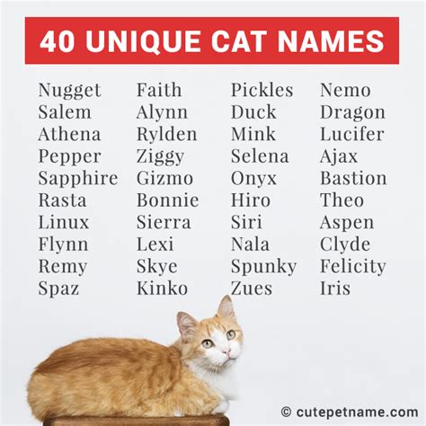 cute cat names unique