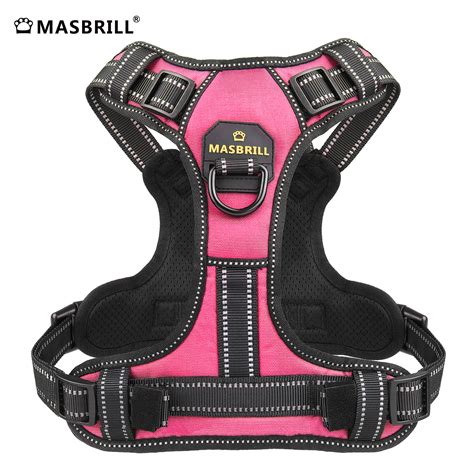 Cute Dog Harness No Pull