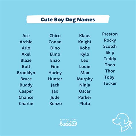 Cute Dog Names for Males