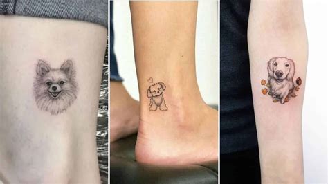 Cute Dog Tattoos Designs