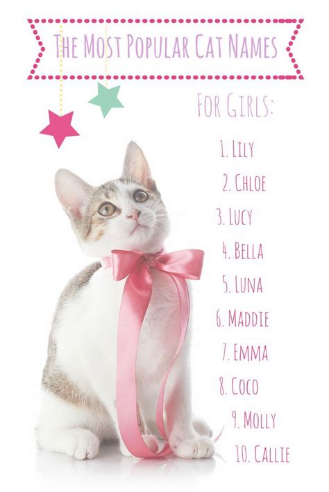 cute girl kitten names unique