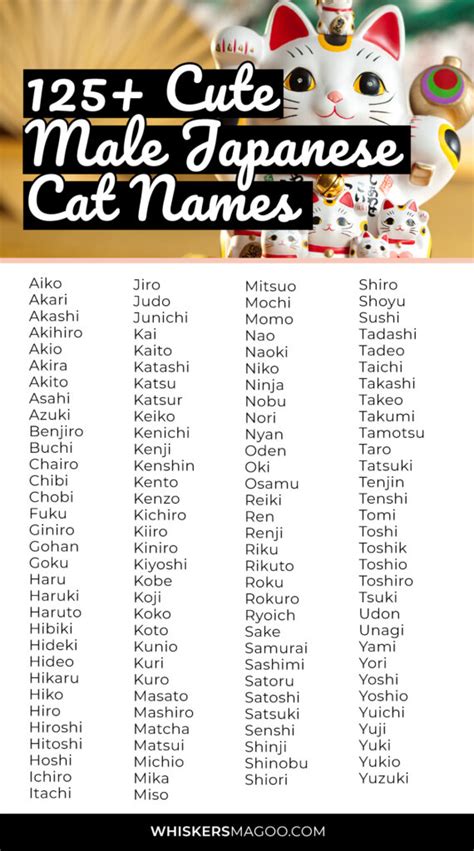 Cute Male Cat Names Japanese