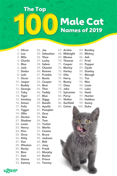 Cute Male Cat Names Unique