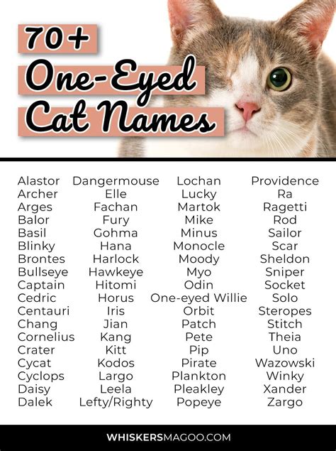 Cute Names for a One-Eyed Cat
