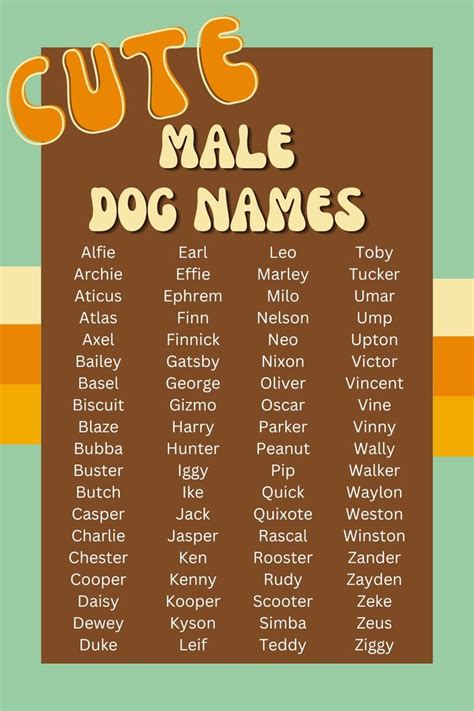 cute names for pets male
