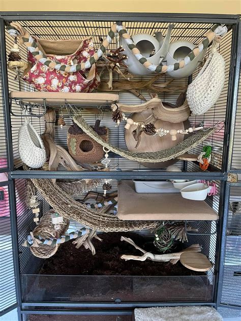 Cute Rat Cage Setup