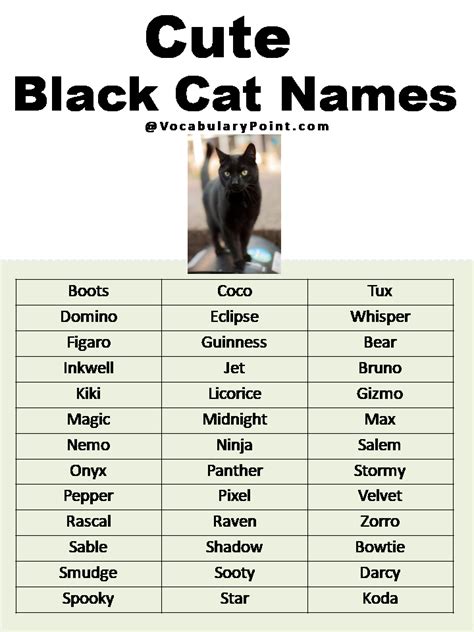 Cute Unique Black Cat Names