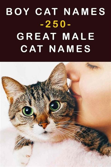 cute unique boy cat names