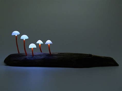 Cute Mushroom Lamp Mushroom lights, Creative lamps, Stuffed mushrooms