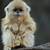 cutest pet monkey breeds