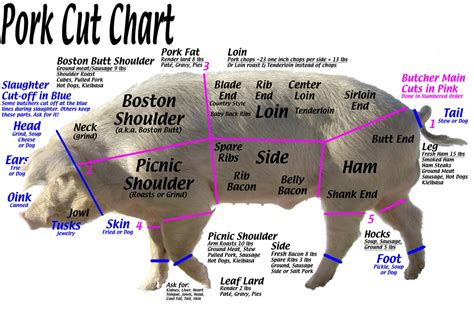 Cuts Of Pigs