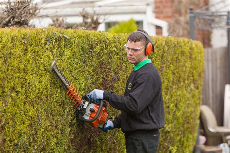 Cutting Back Hedges Uk