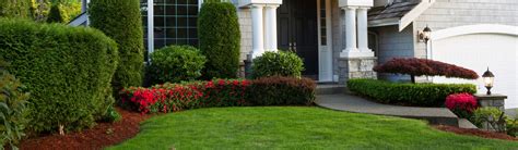 Cutting Edge Property Services