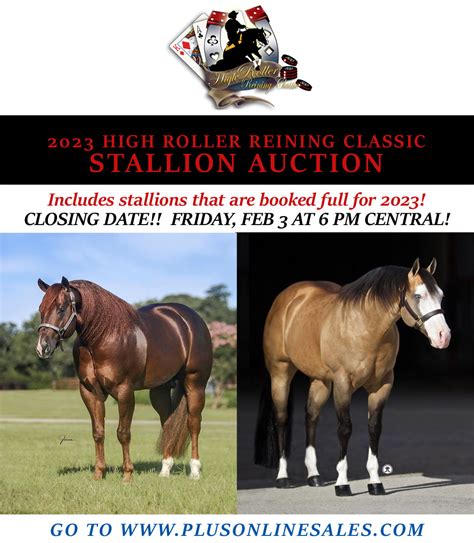cutting stallion auction 2023